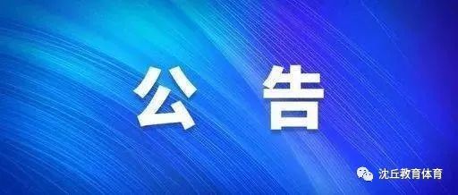 沈丘招聘网最新招聘信息，小巷深处的职业机遇探索