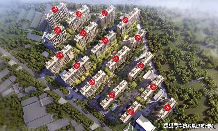 白君堂最新动态，技能提升与任务完成指南
