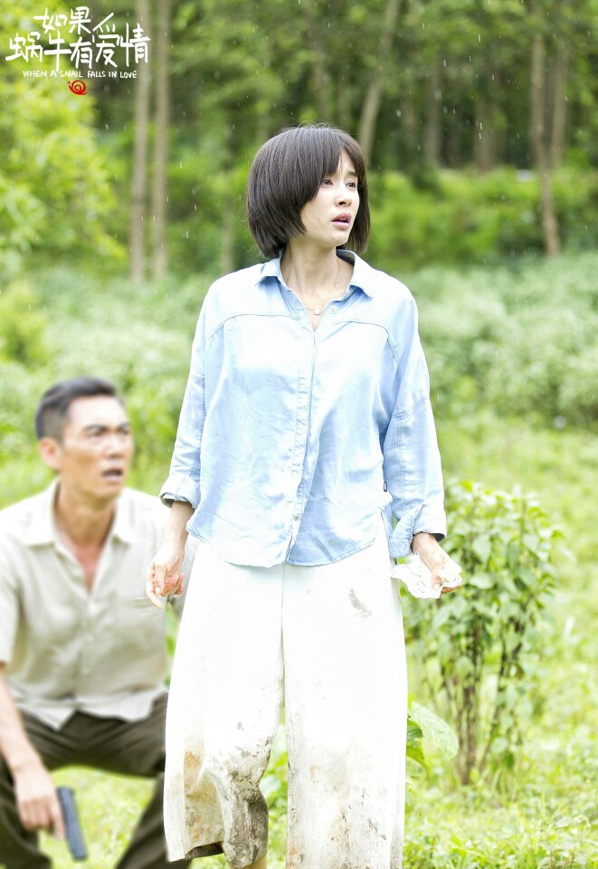 王子文电视剧最新作品全面解读与观点阐述