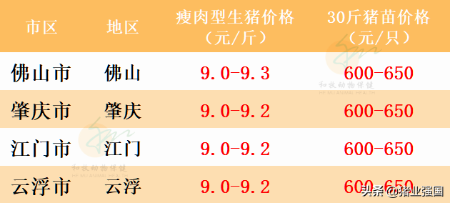 今日猪肉市场最新价格与小巷深处的猪肉故事