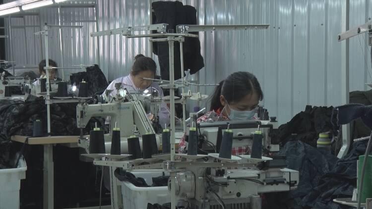成武新闻最新动态，拥抱自然，踏寻内心平静的旅行