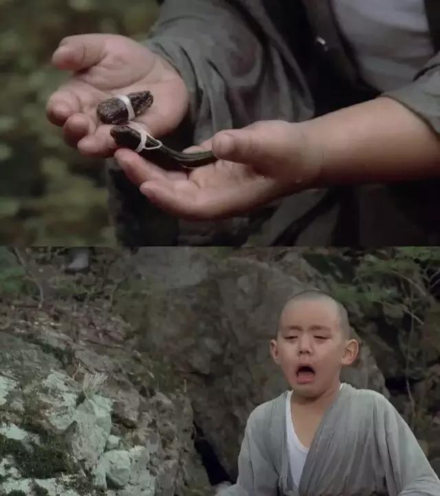 最新情欲电影，情感细腻与激情碰撞的视觉盛宴