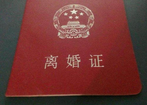 香港人开单身证明最新流程揭秘，小巷特色小店里的故事