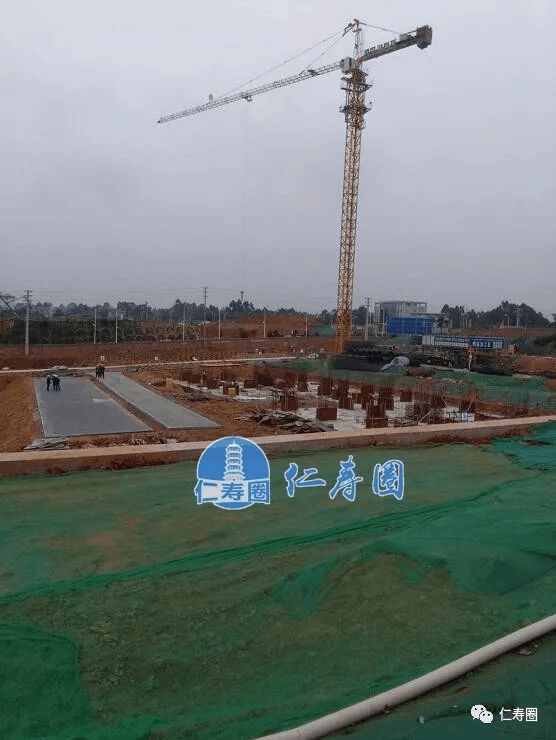 仁寿观寺最新动态，小巷中的隐藏瑰宝